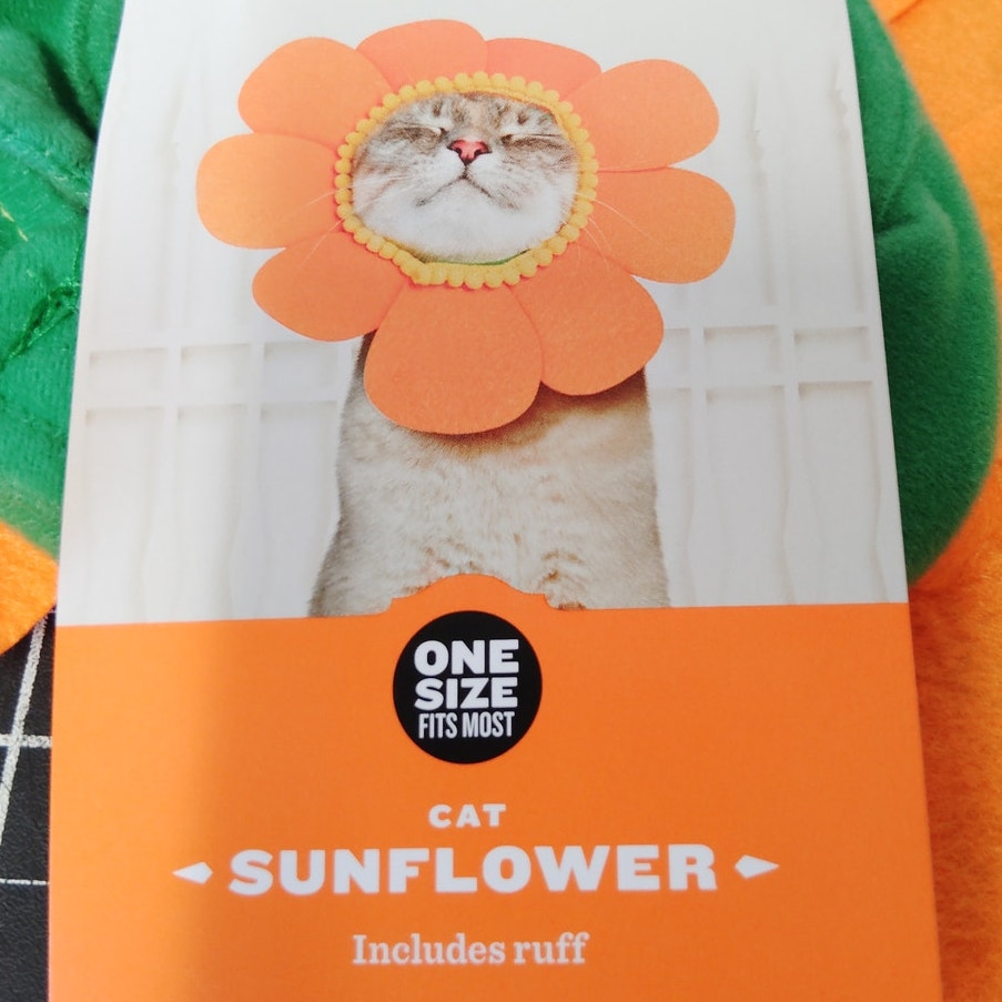 Hyde & EEK! Boutique Halloween Orange Sunflower Cat Costume