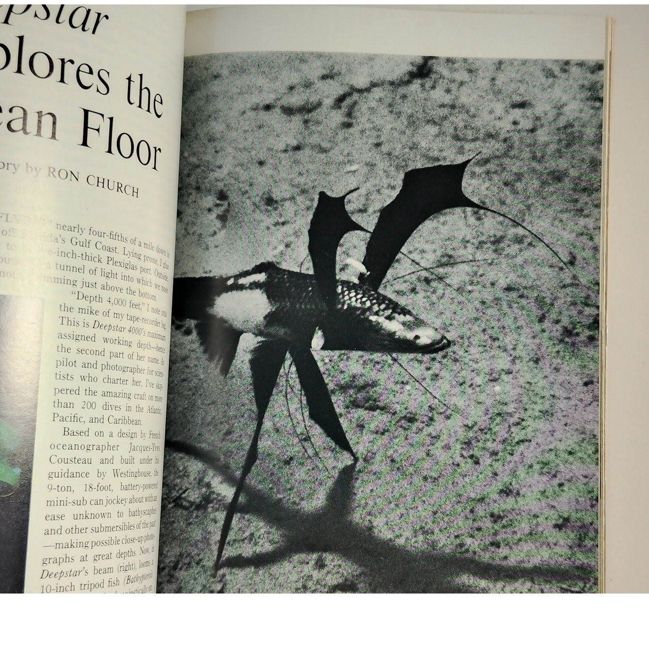 National Geographic Magazine – January 1971, Voyage of Ra II, Wild Horses, Java