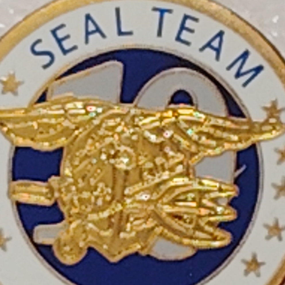 U.S. Navy SEAL Team Ten Insignia Novelty Hat/Lapel/Brooch Pin, Enamel Metal