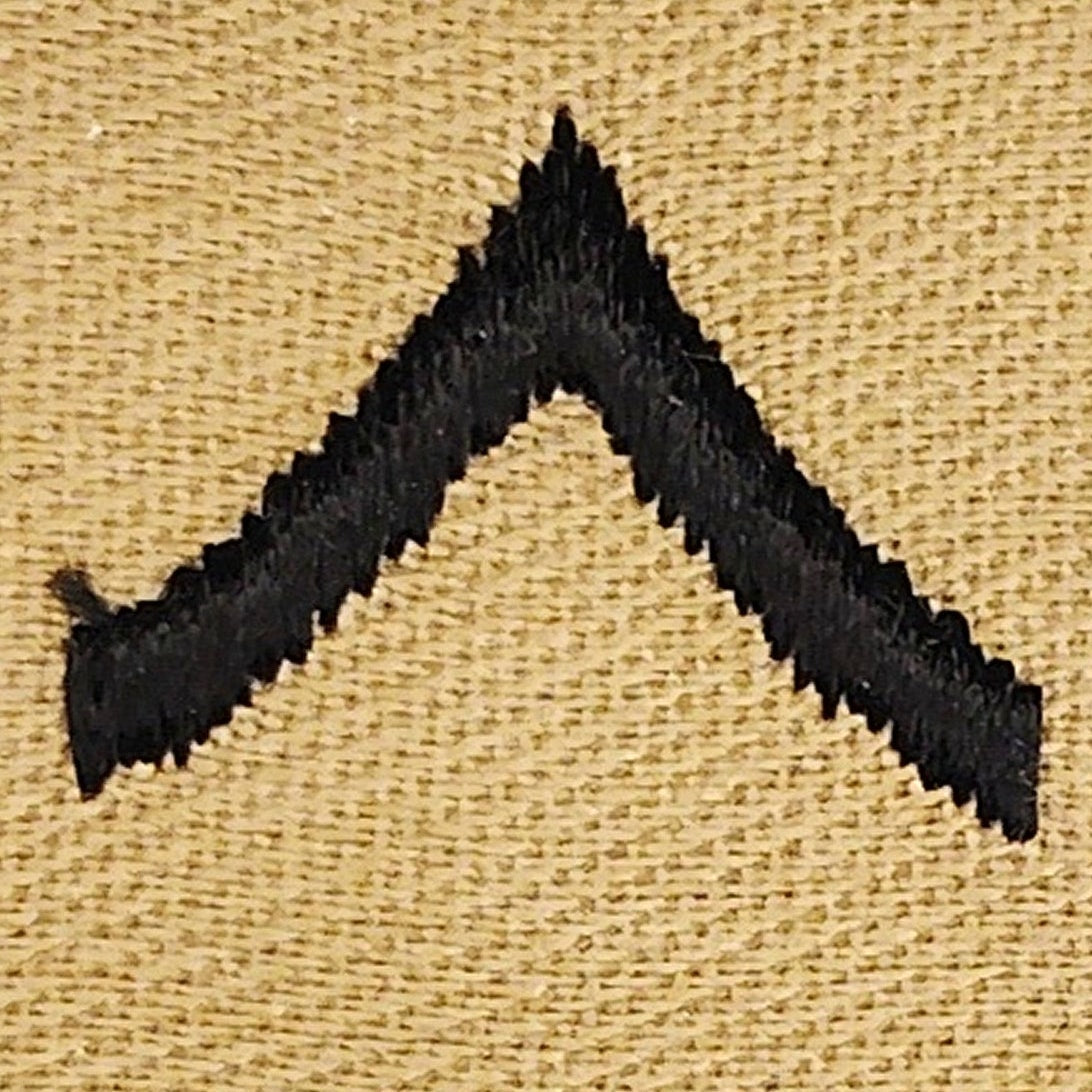 US Army PV2 E‑2 Rank Patch Pair Desert Subdued Tan 4" × 2" Raw‑Edge Vintage