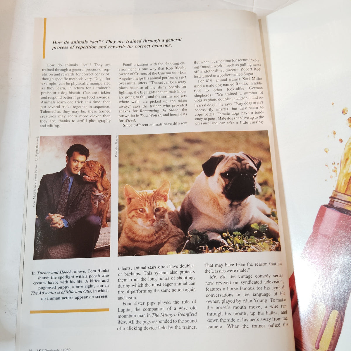 Delta Sky Magazine Sept. 1989 - Allen Jacobson Profile, Cricket, Movie Menagerie