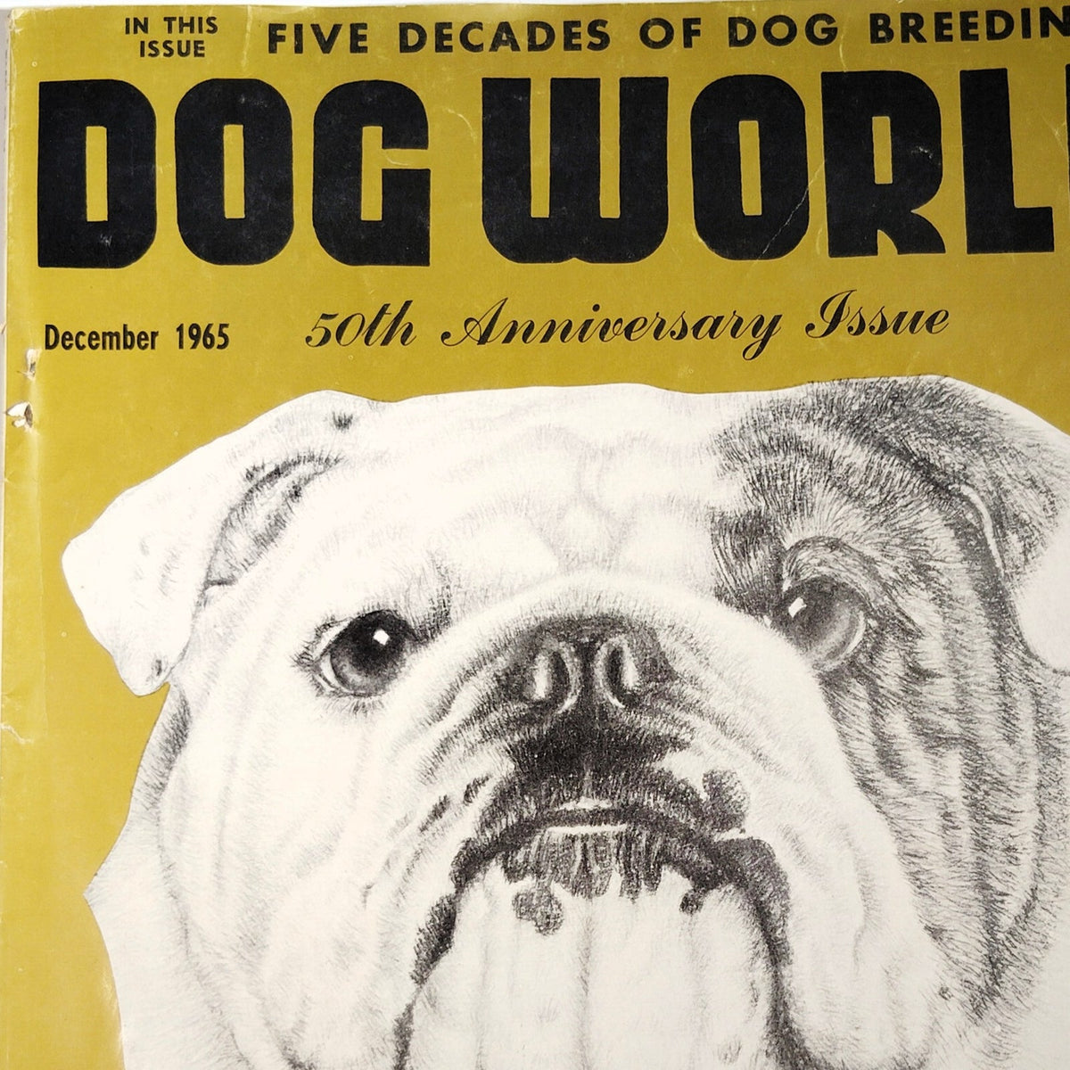 Dog World Magazine December 1965 50th Anniversary Bulldog Cover Vintage
