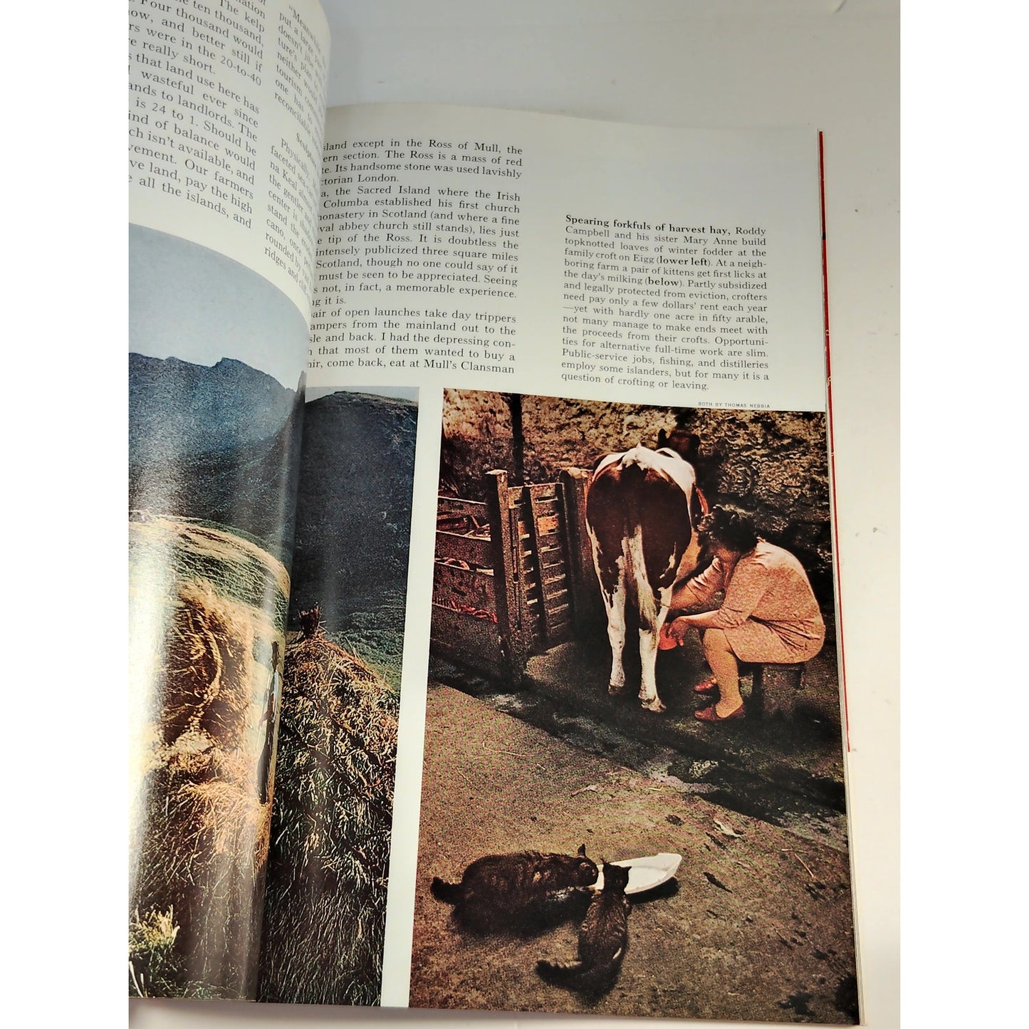 National Geographic – November 1974, Virginia, Maya Civilization, Renaissance