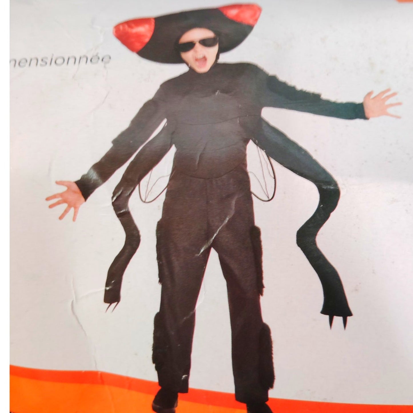 Big Fly Child Costume Medium (8-10) with Jumpsuit, Oversized Headpiece & Wings