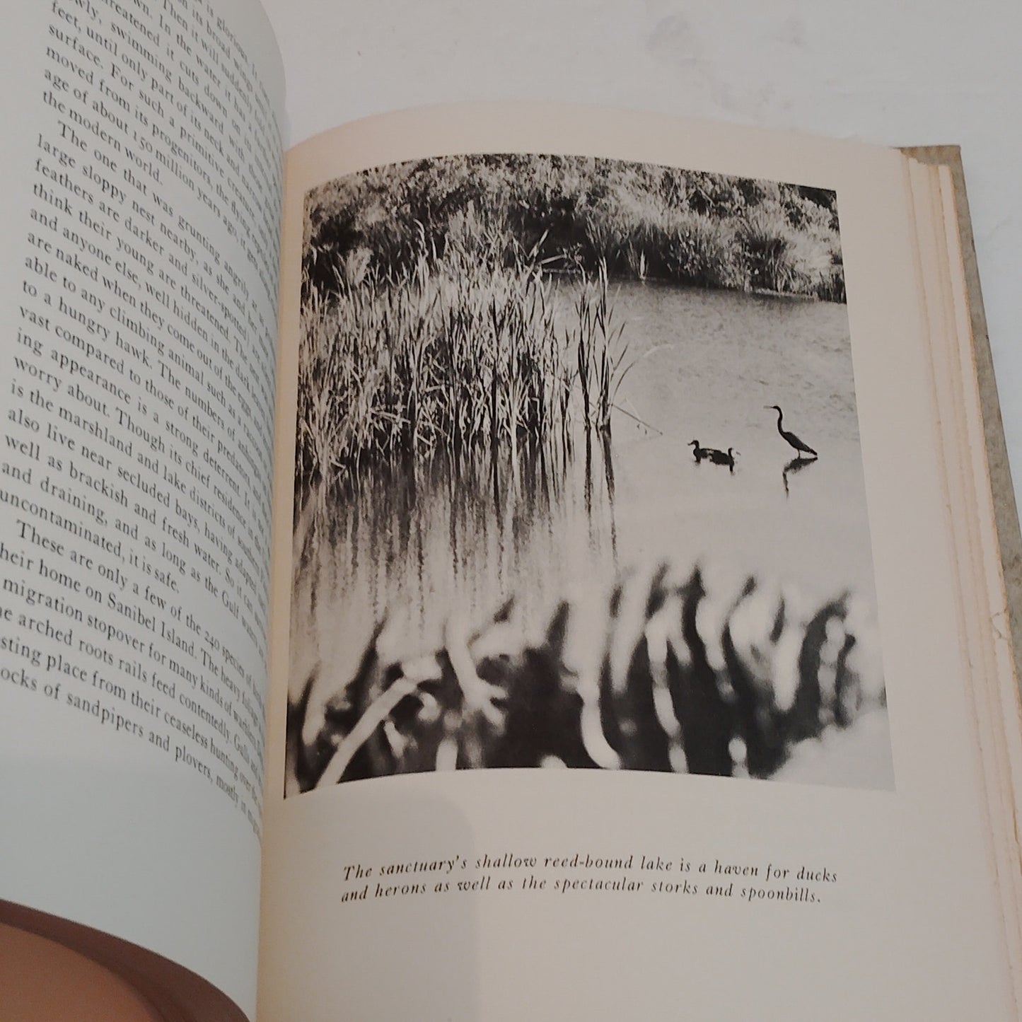 Two Islands: Grand Manan and Sanibel Hardcover 1971 First Edition No Dust Jacket