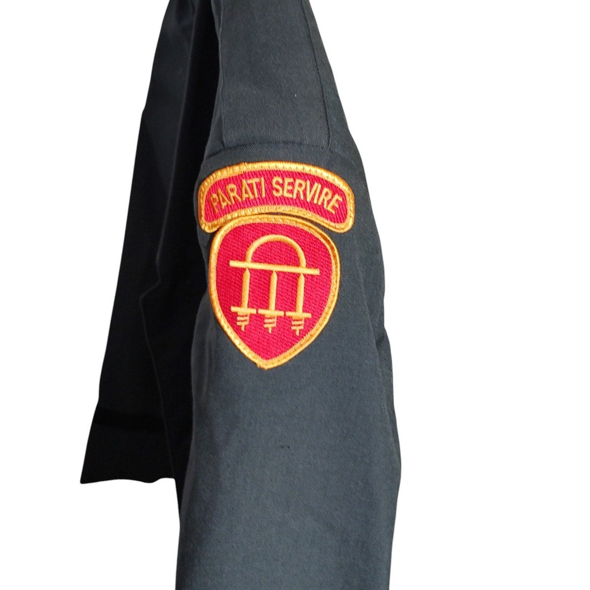 Army AG-344 Class 3 Dress Coat, 39L, Derossi & Son Co. Georgia State Defense Force “Parati Servire”