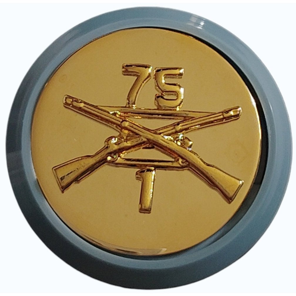 1st Bn, 75th Ranger Regt & U.S. w/ Light Blue Disc Trim Novelty Lapel Pin Set