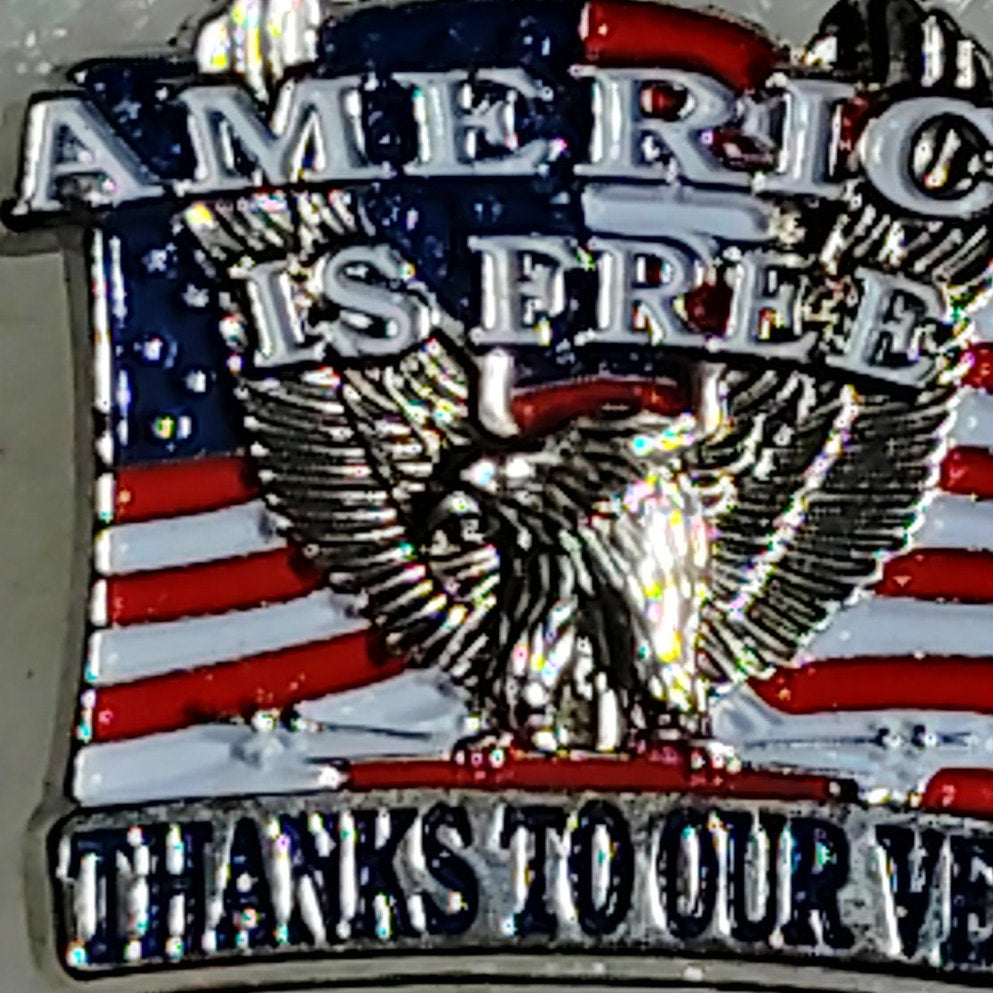 America Is Free Thanks To Our Vets Novelty Hat Lapel Brooch Pin, 1"W × 7/8"H