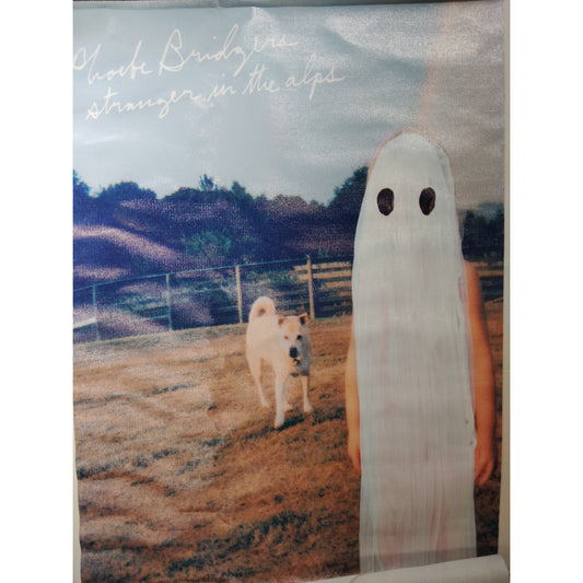 Phoebe Bridgers – Stranger in the Alps Canvas Print (12x18", Unframed Indie Album Art Print)