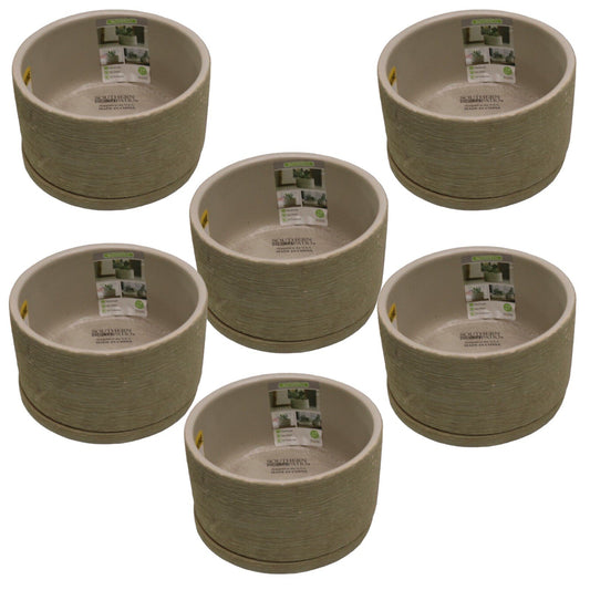 6 x Liesl Small 5.9" x 3.5" 2 qt. Beige Ceramic Indoor Succulent Indoor Planter
