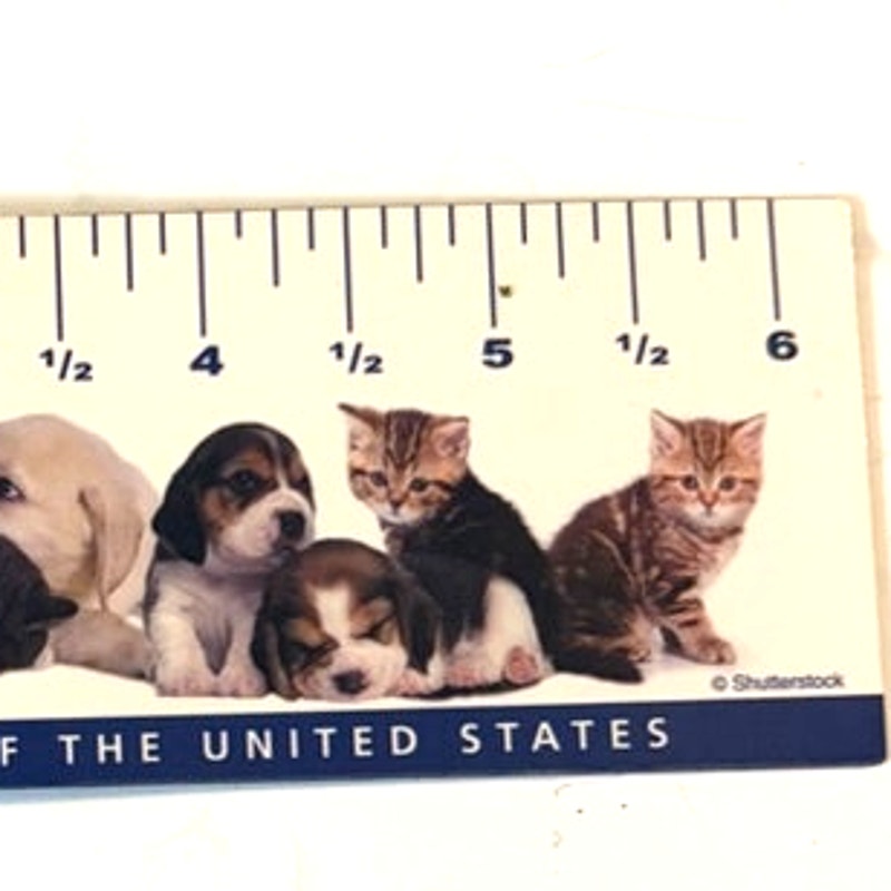 Humane Society Magnetic Ruler Fridge Magnet Puppies Kittens HSUS Promo 6.5x2