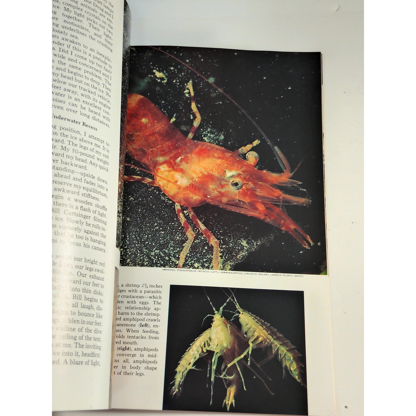 National Geographic Magazine – August 1973, Great Lakes, Arctic Ice, Algeria