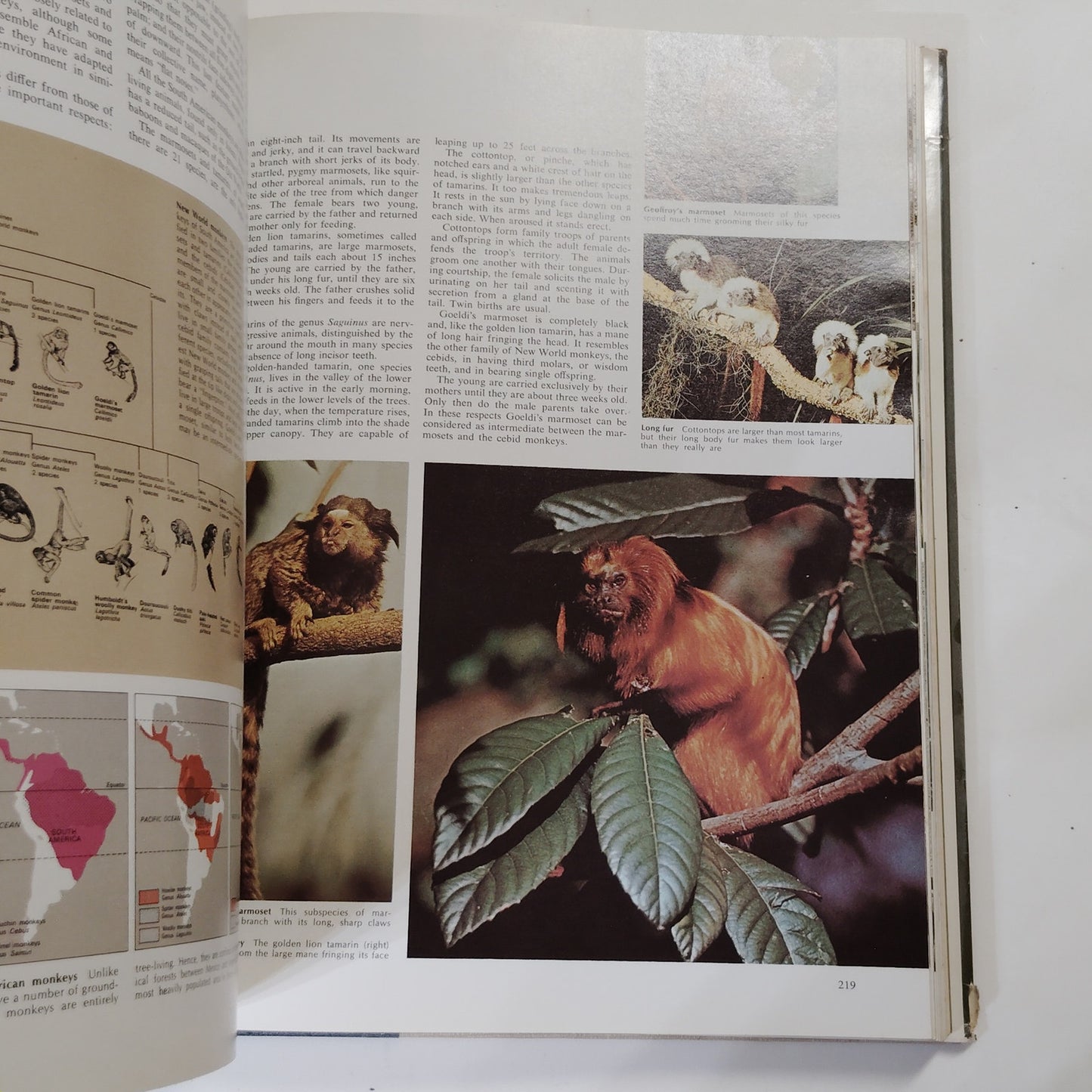 Reader’s Digest Fascinating World of Animals 1971 Hardcover 12.5" x 9.5" x 2"
