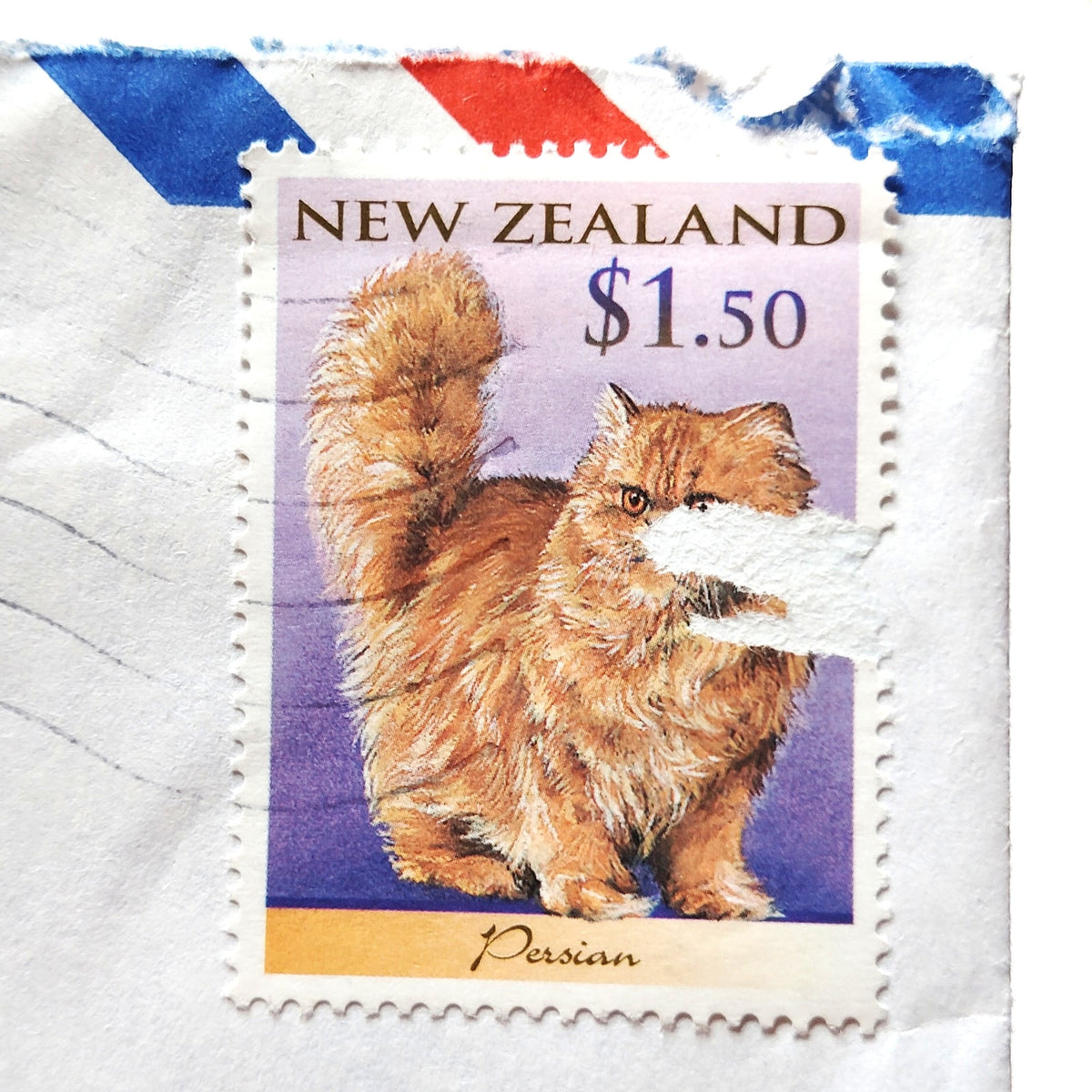 New Zealand 1999 Cats $1.50 Persian Stamp Airmail Cover to USA FastPOST