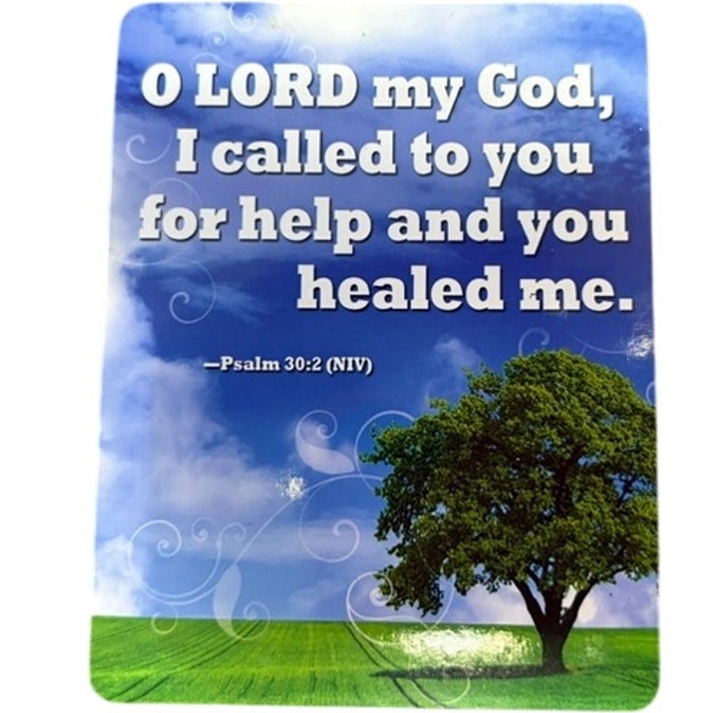 Christian Scripture Fridge Magnet Psalm 30:2 Sky Tree Clouds Vinyl 4.5x3.5