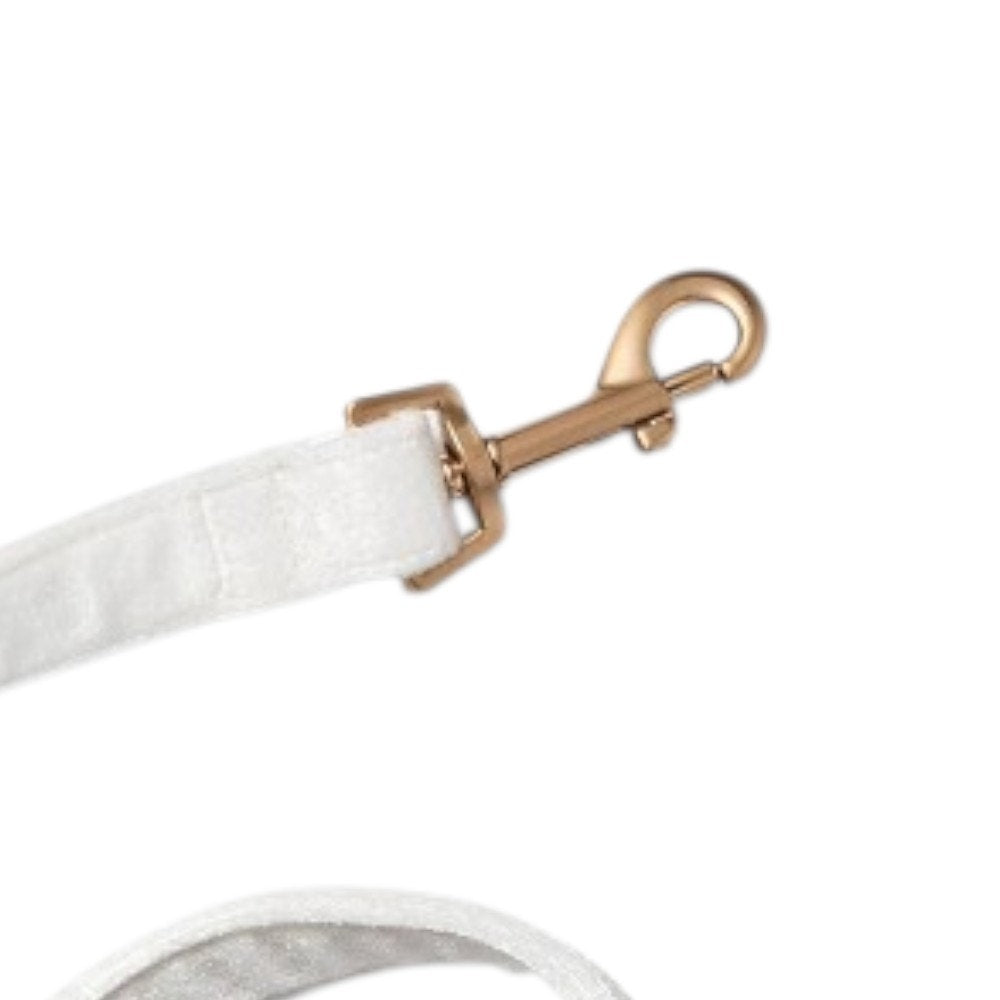 Wedding Collection Velvet Dog Leash 60" - Boots & Barkley