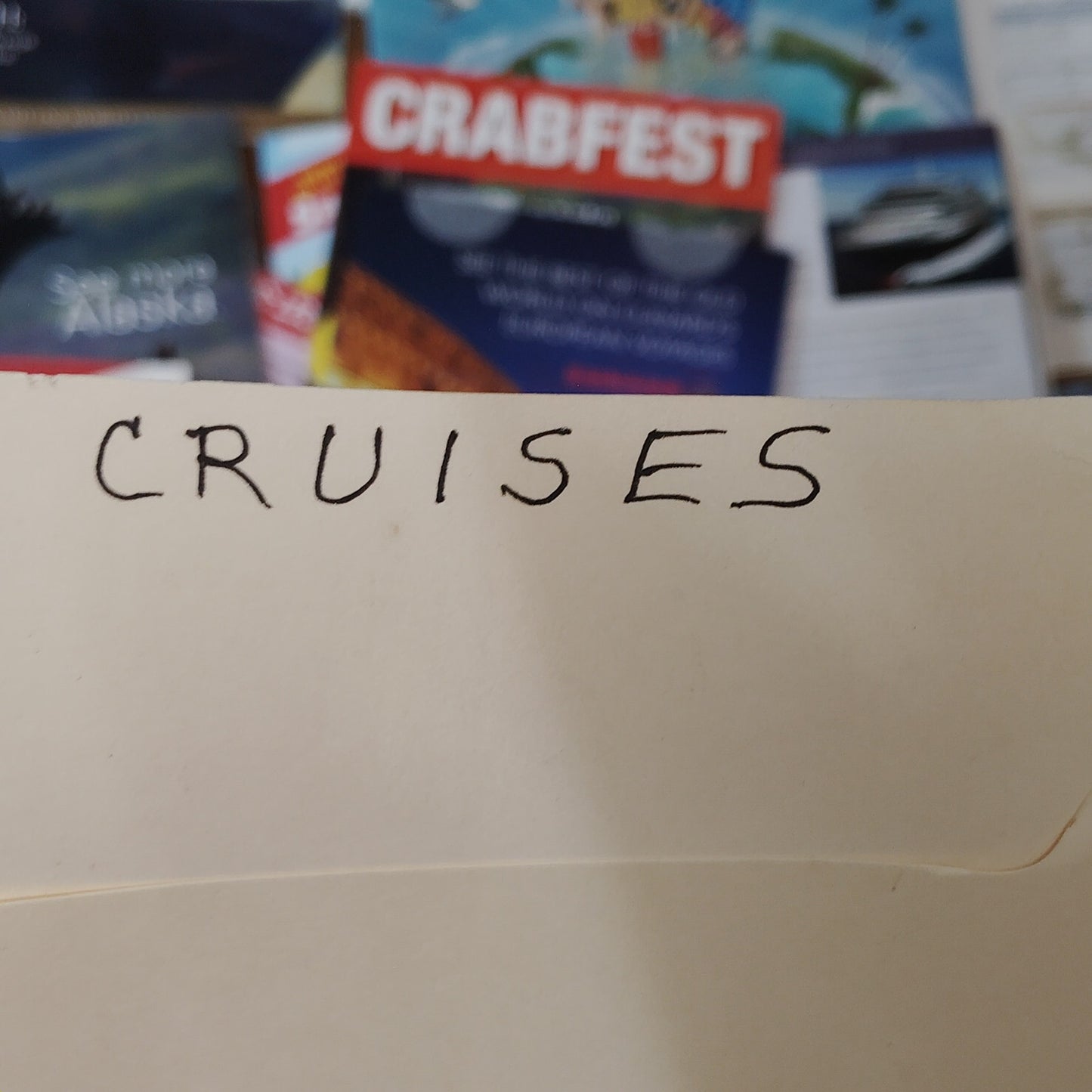 Vintage International Cruise Line Ephemera Collection - Brochures & Ads - 9 Lbs