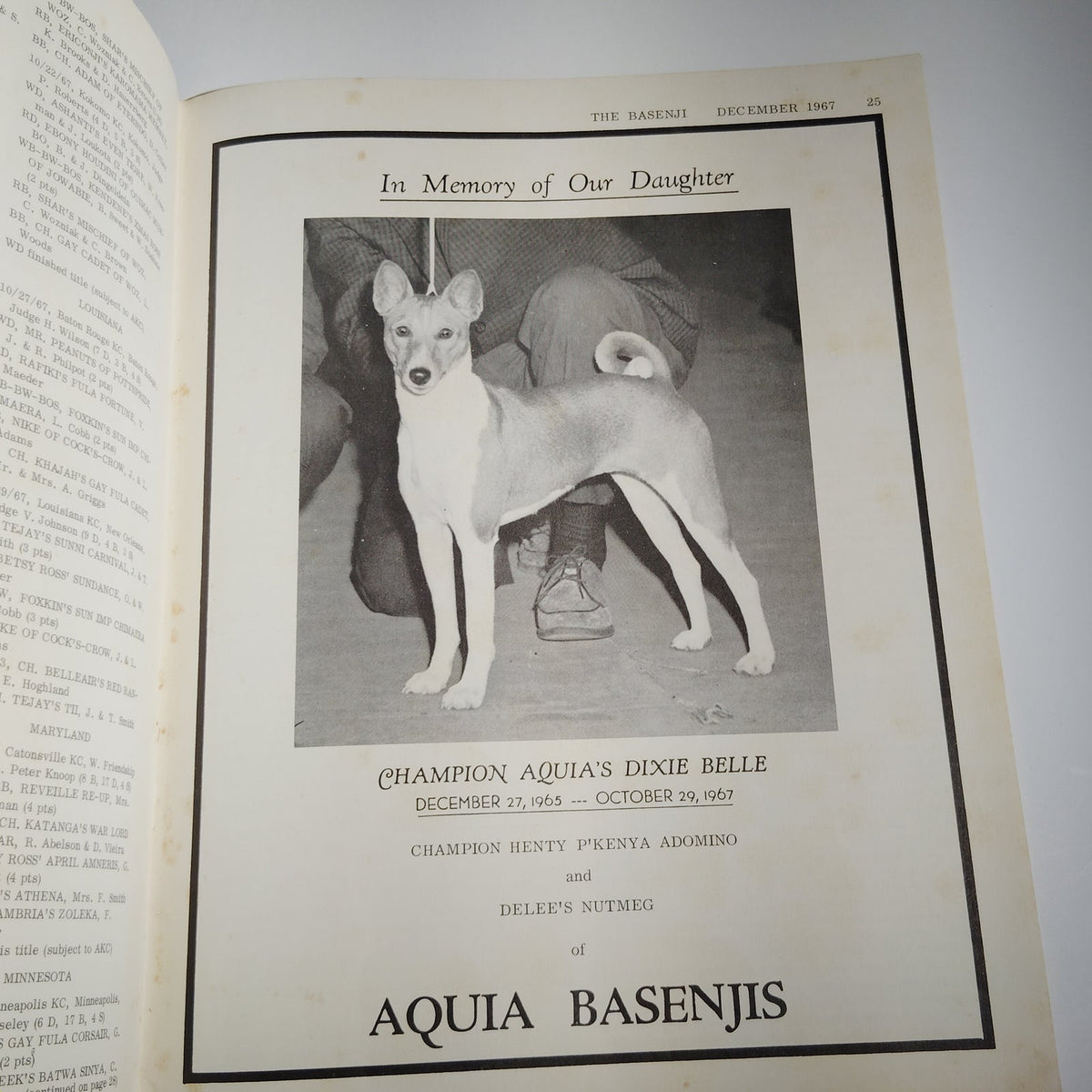 Vintage The Basenji Dog Magazine December 1967 Christmas Issue Vol IV No 12
