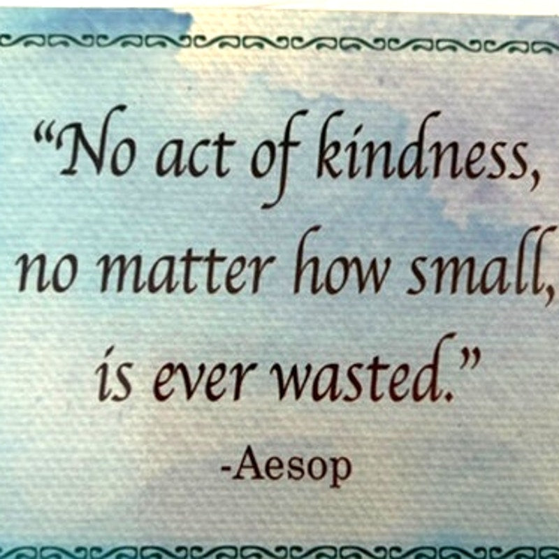 Inspirational Fridge Magnet Aesop Kindness Quote Canvas Teal Border 3.5x3