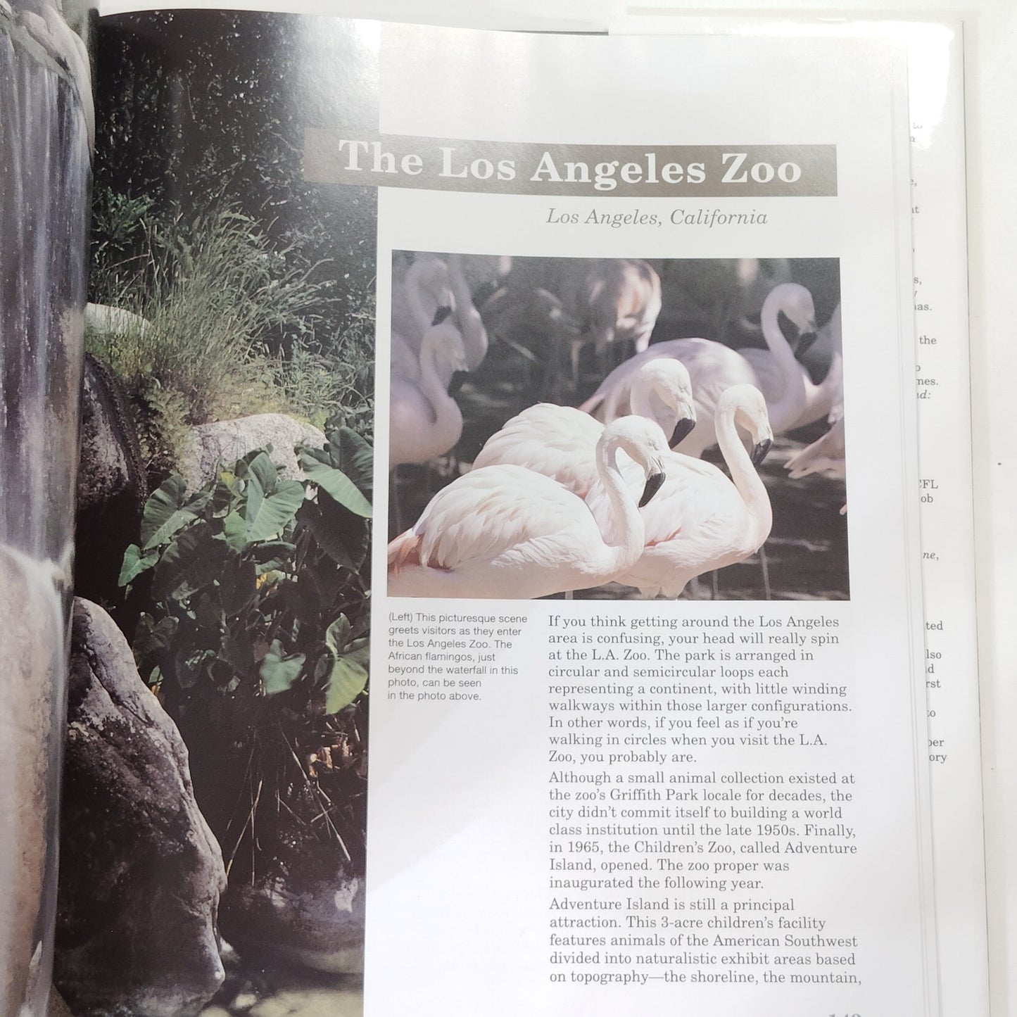 American Zoos 1992 Hardcover Wildlife Photography Book 12.5" x 10.75"