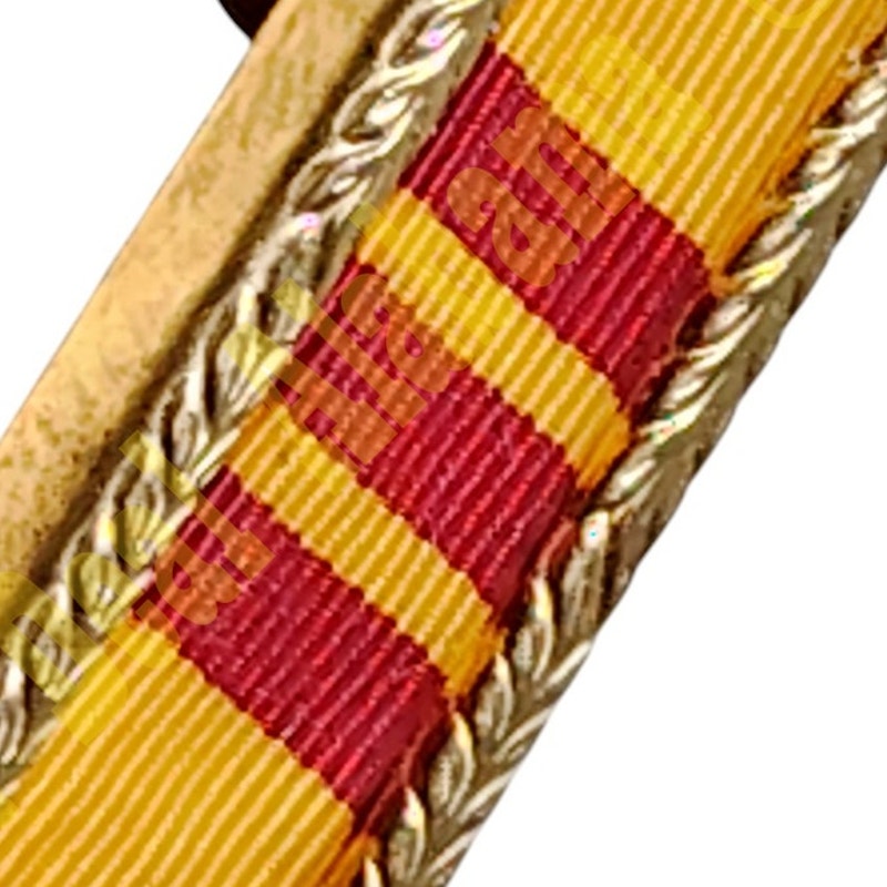 Pin - Vietnam Presidential Unit Citation, Large Leaf Gold Frame 9/16"H x 1-1/2"W
