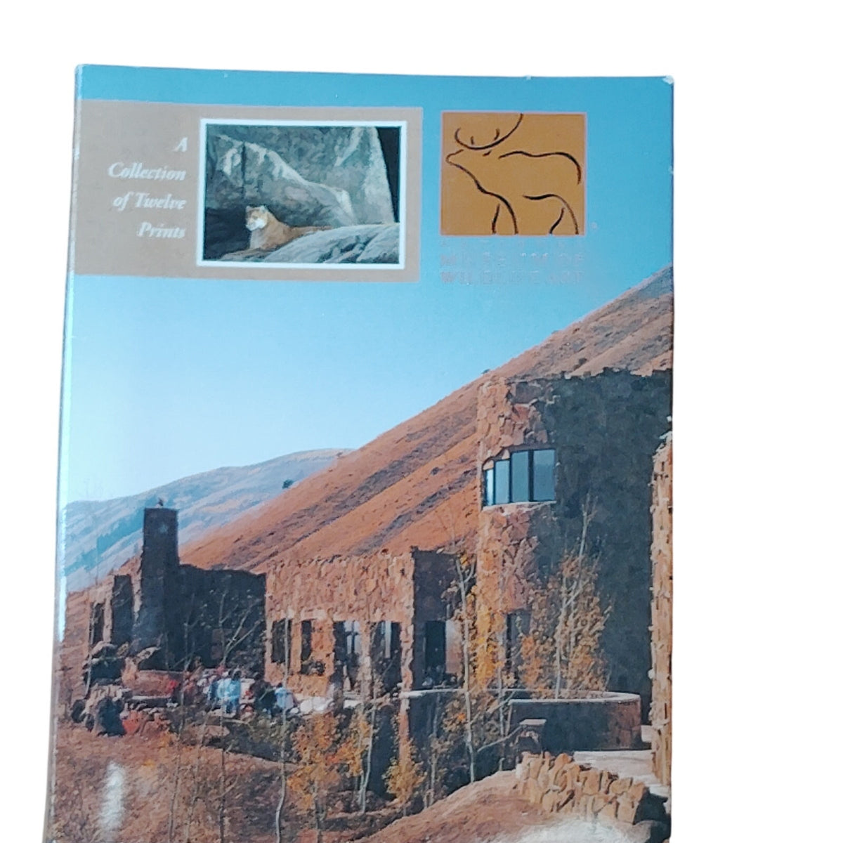 National Museum of Wildlife Art Postcard Set - Wildlife Paintings & Sculptures