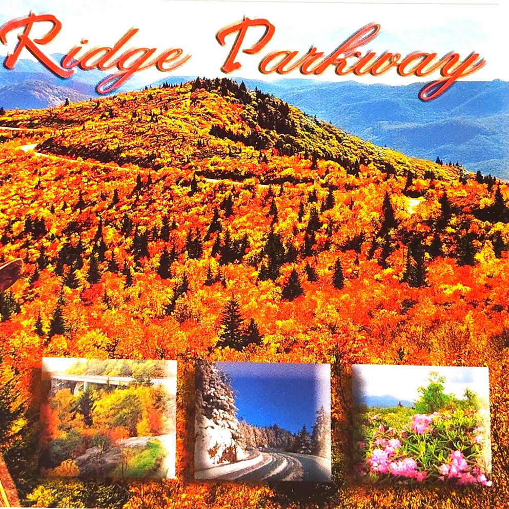 VTG Blue Ridge Parkway Multi‑View Postcard Bear Cub Autumn NOS