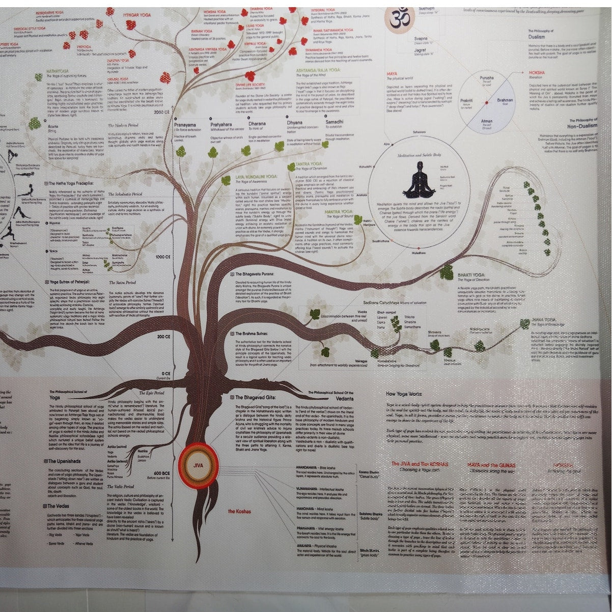 Yoga Tree of Knowledge Poster – Spiritual & Educational Wall Chart (Unframed, 18x12")