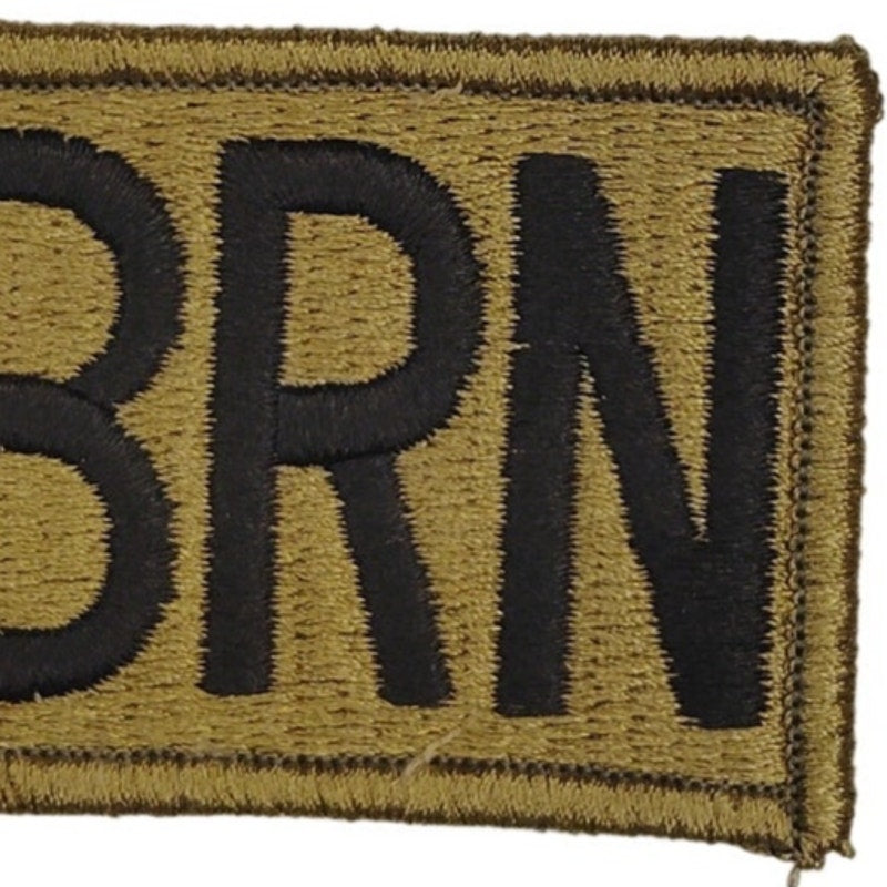 Army CBRN (Chemical, Biological, Radiological, and Nuclear) Patch, OCP Hook Back
