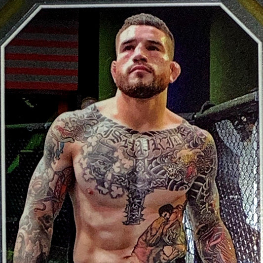 Sean Brady, UFC Light Heavyweight, Card 172, 2024 Topps Chrome UFC, NM+