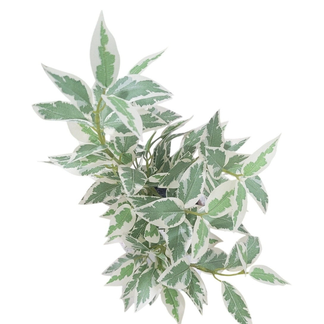 15" Variegated Ficus Artificial Plant - Threshold - Designed with Studio McGee