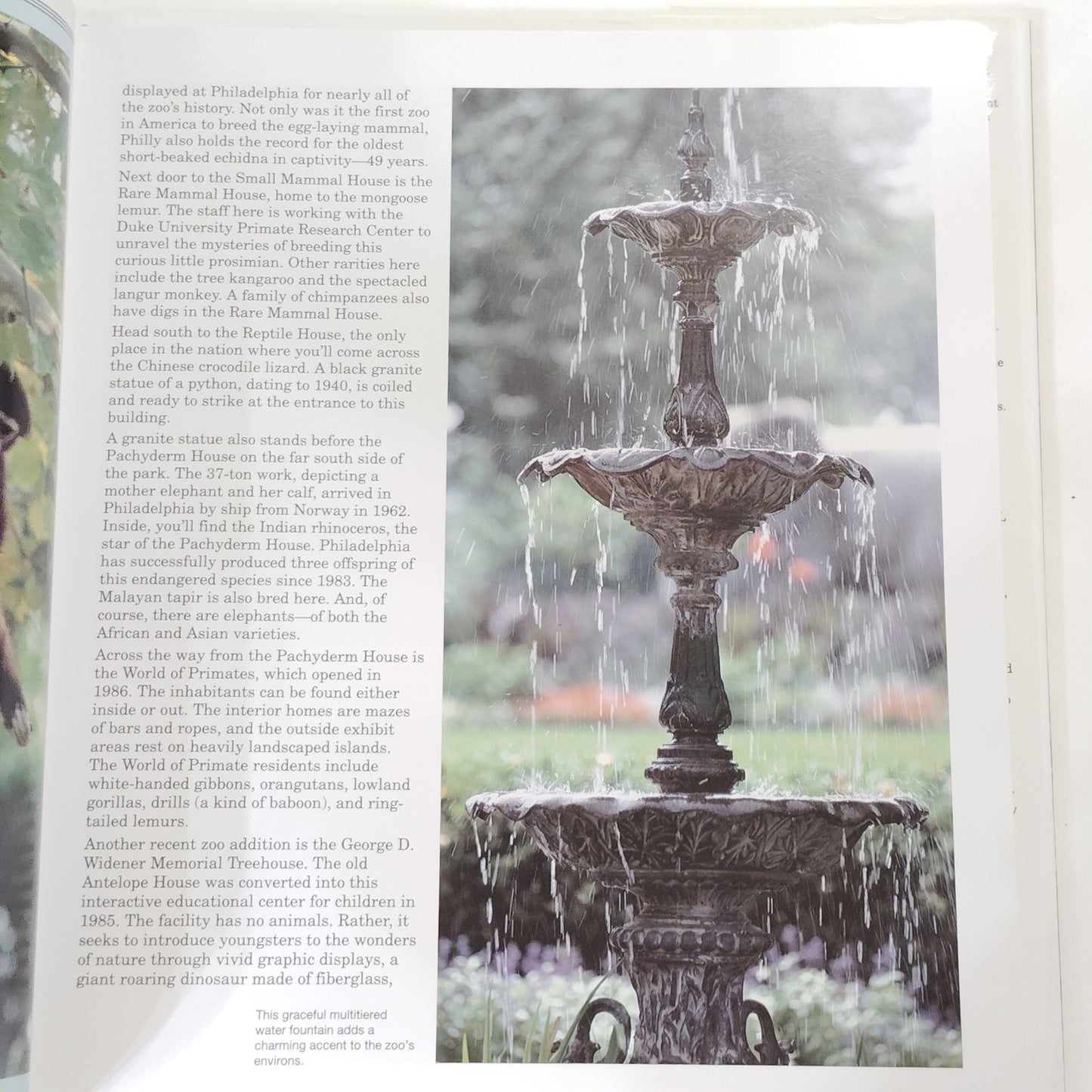 American Zoos 1992 Hardcover Wildlife Photography Book 12.5" x 10.75"