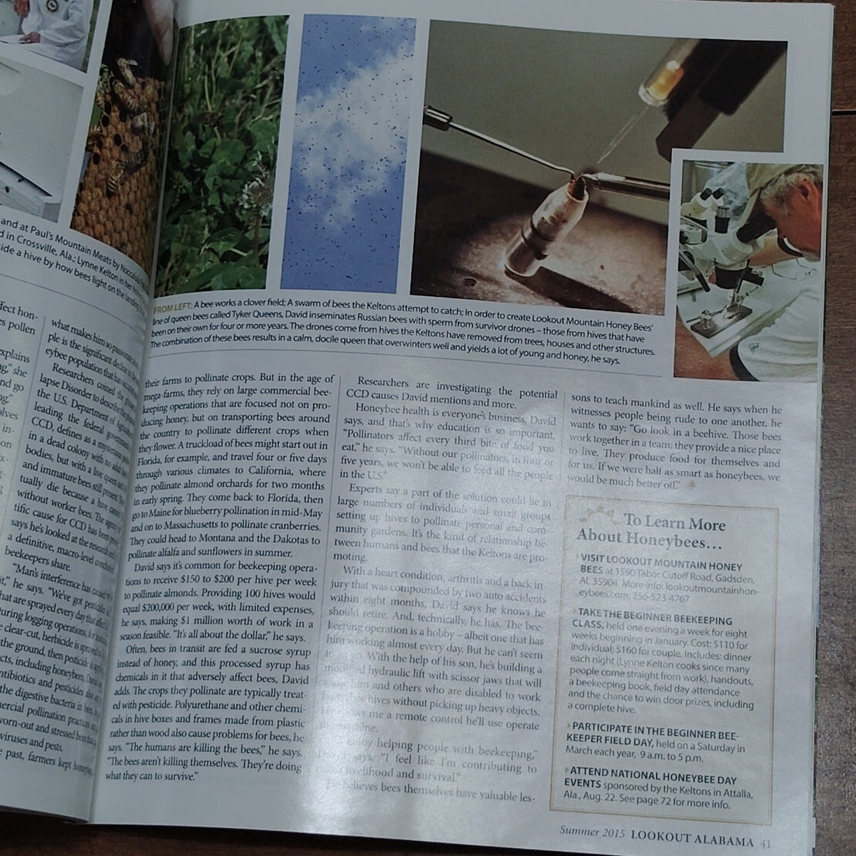 Lookout Magazine Summer 2015 - Alabama Lifestyle & Culture Multi-color