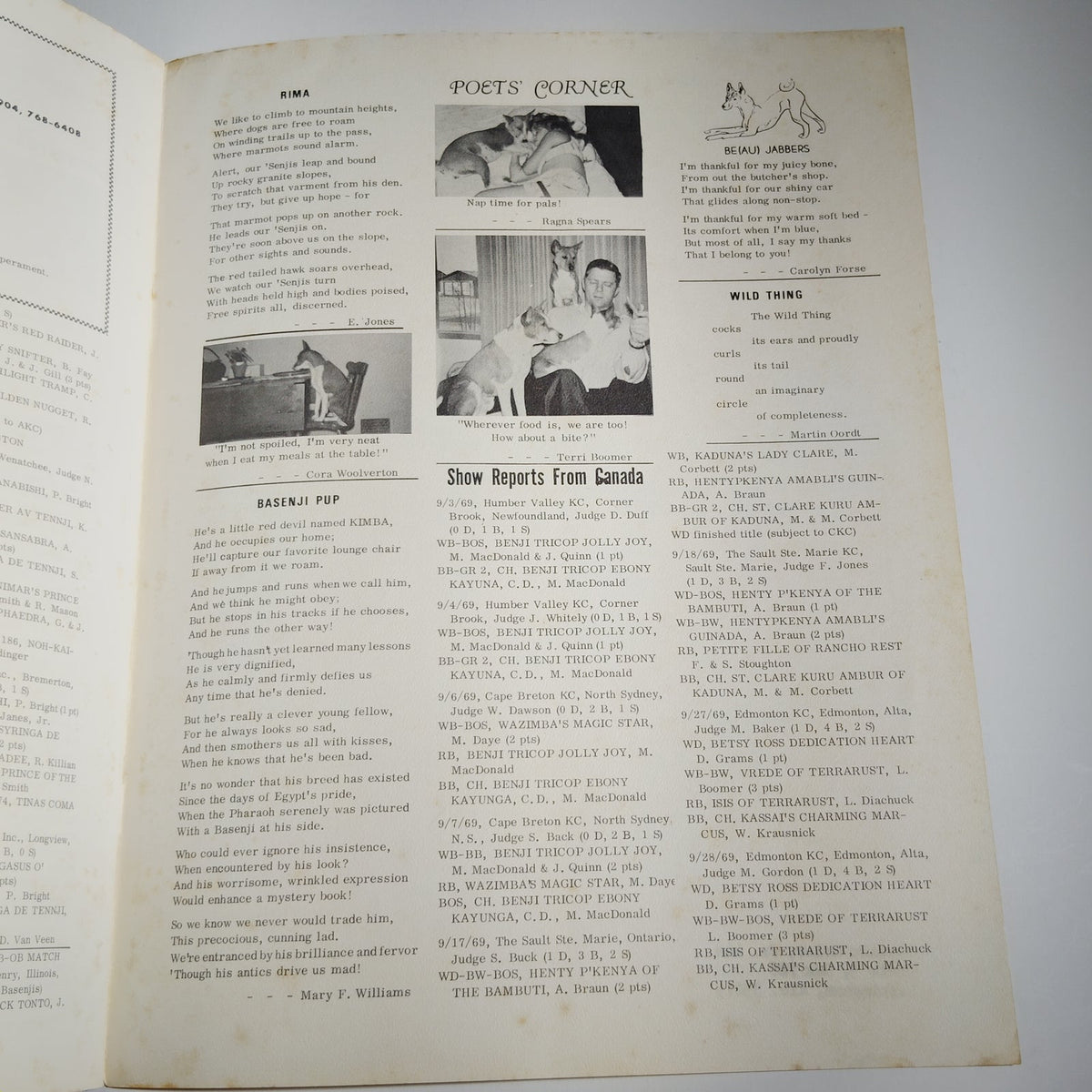 Vintage The Basenji Magazine November 1969 Vol VI No 11 Champion Ubombo