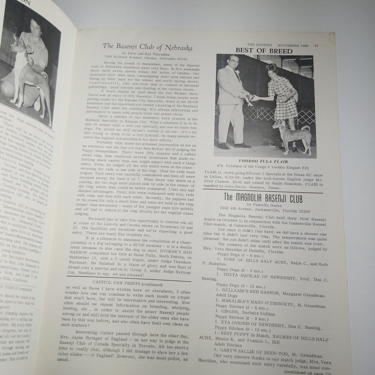 Vintage The Basenji Magazine November 1969 Vol VI No 11 Champion Ubombo