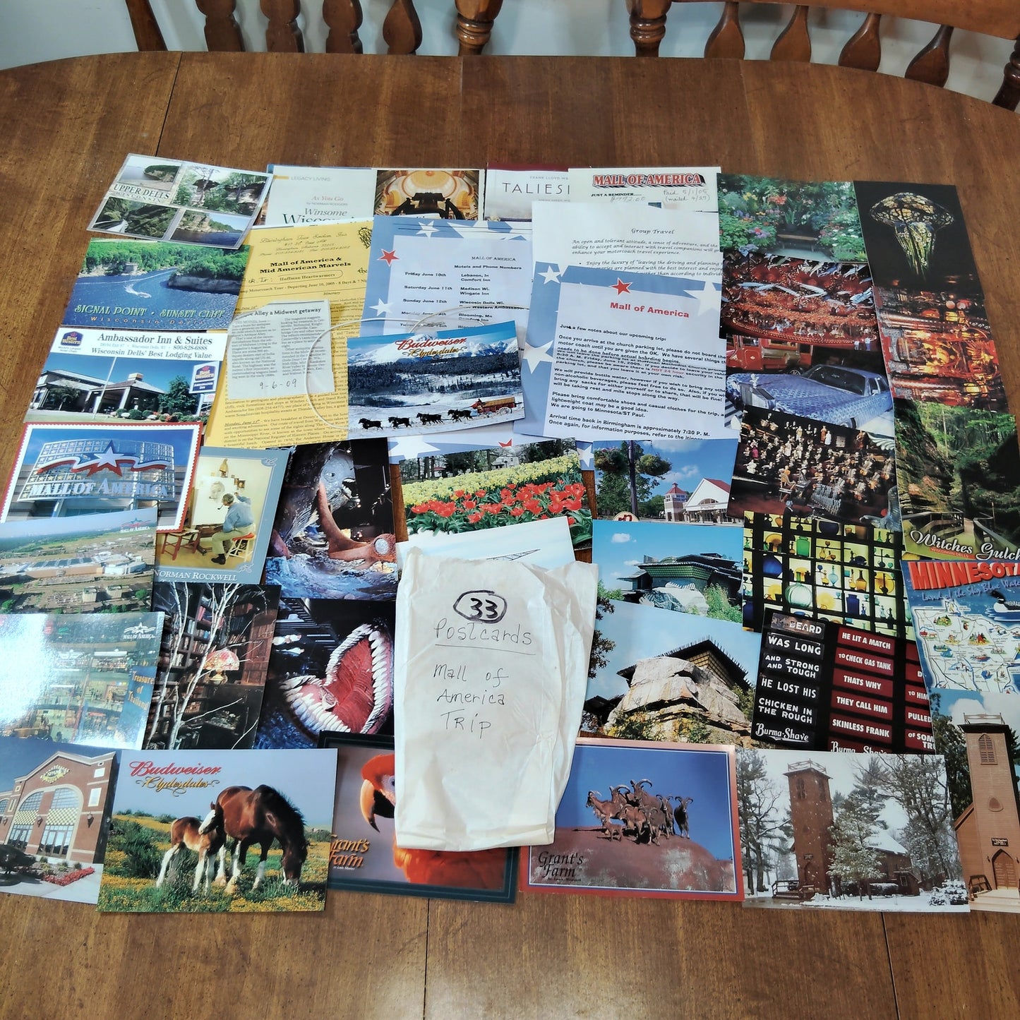 Vintage WI MN ND IA Postcard Lot - Mall of America, Budweiser Clydesdales