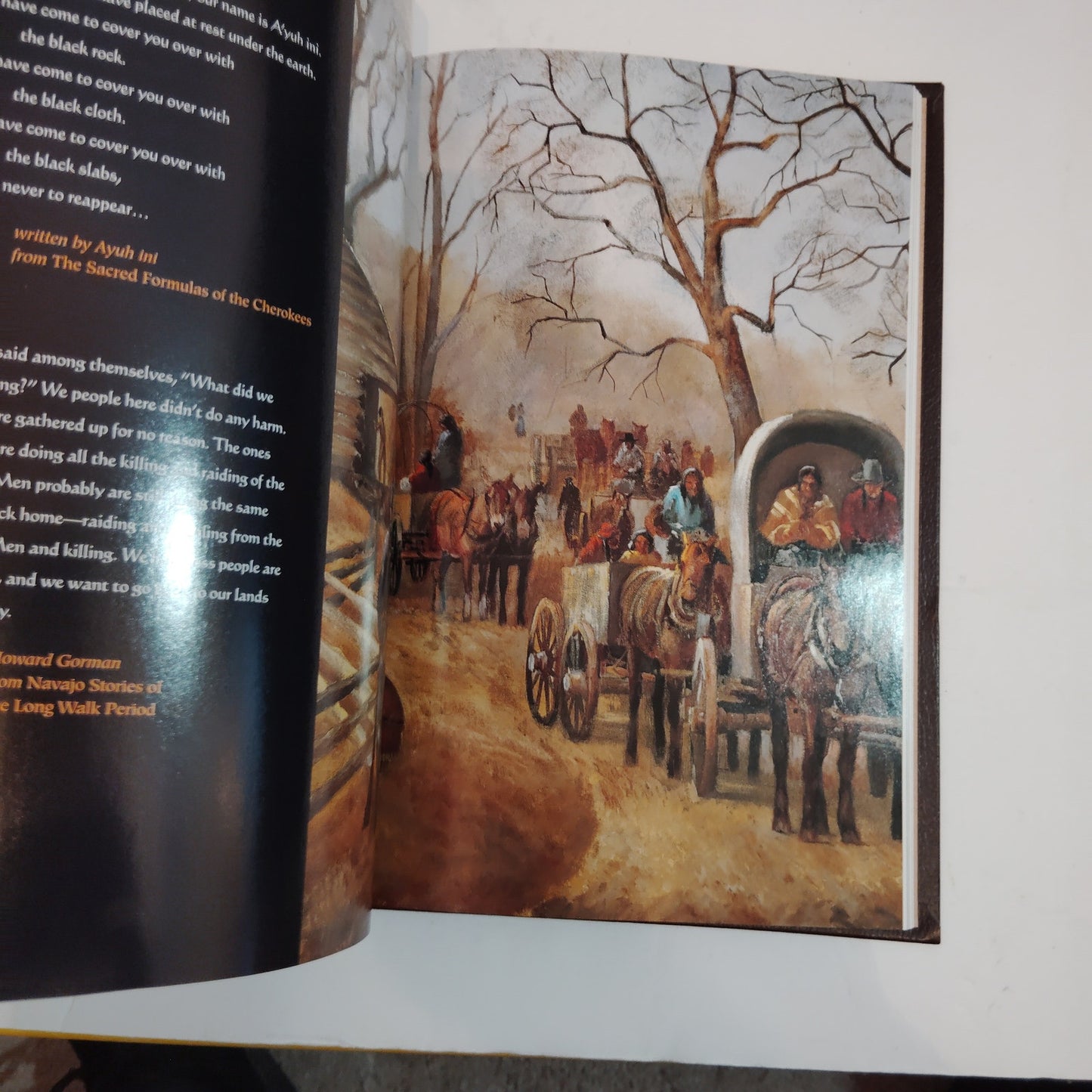 Trails of Tears, Paths of Beauty by Joseph Bruchac - National Geo DLX Hardcover