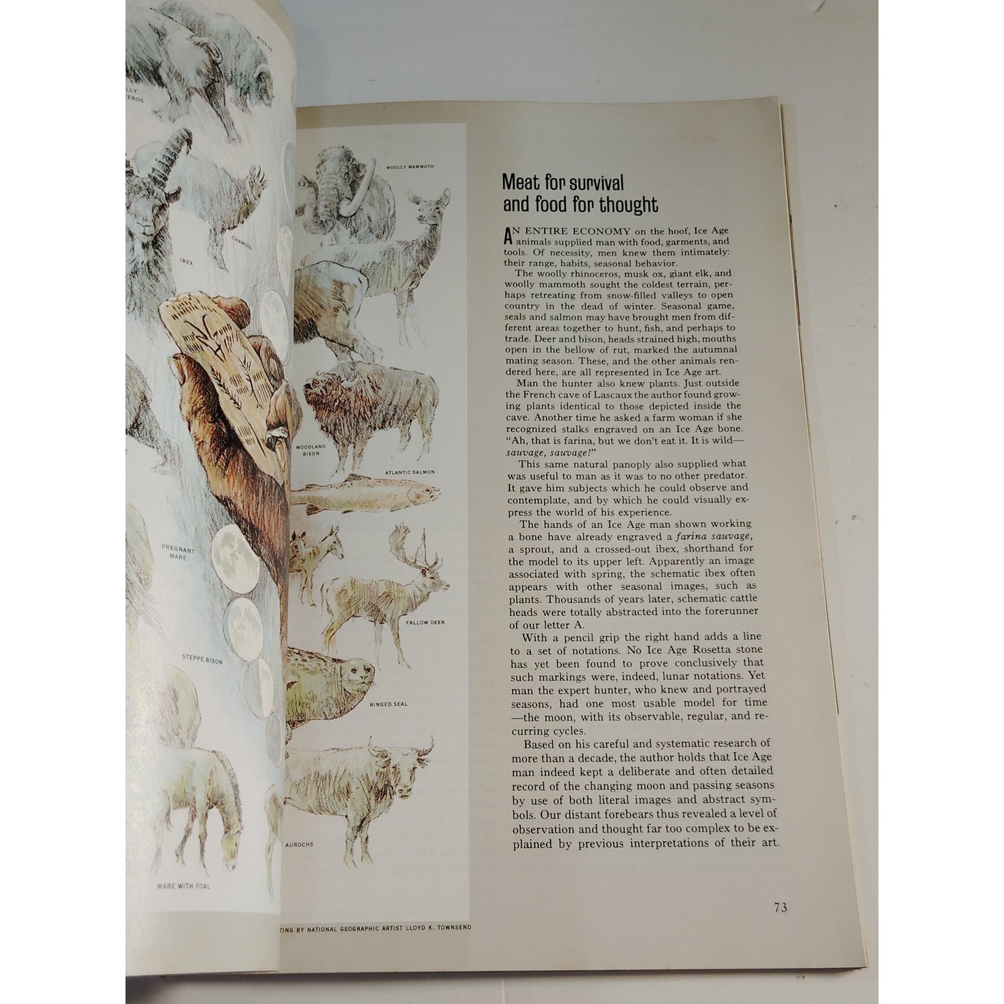 National Geographic – January 1975, Iran, Civil War Shipwreck, Ice Age Man