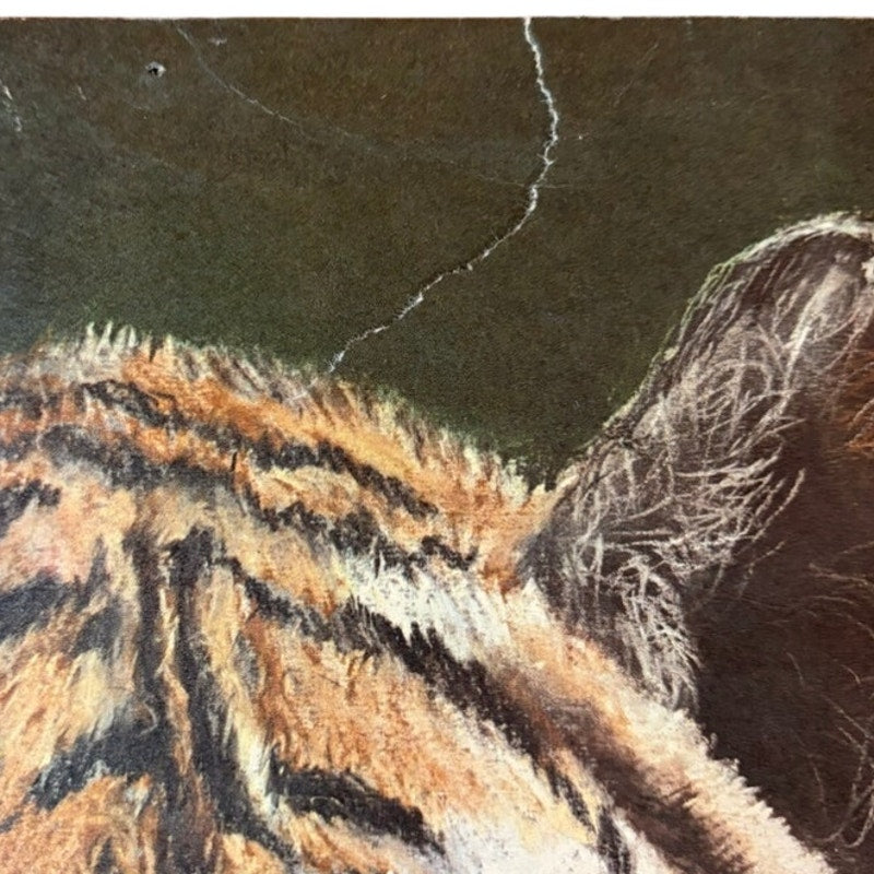 Vintage Charles Bloom Signed 1973 Tiger Art Print - 15.5" x 13" Brown & Orange