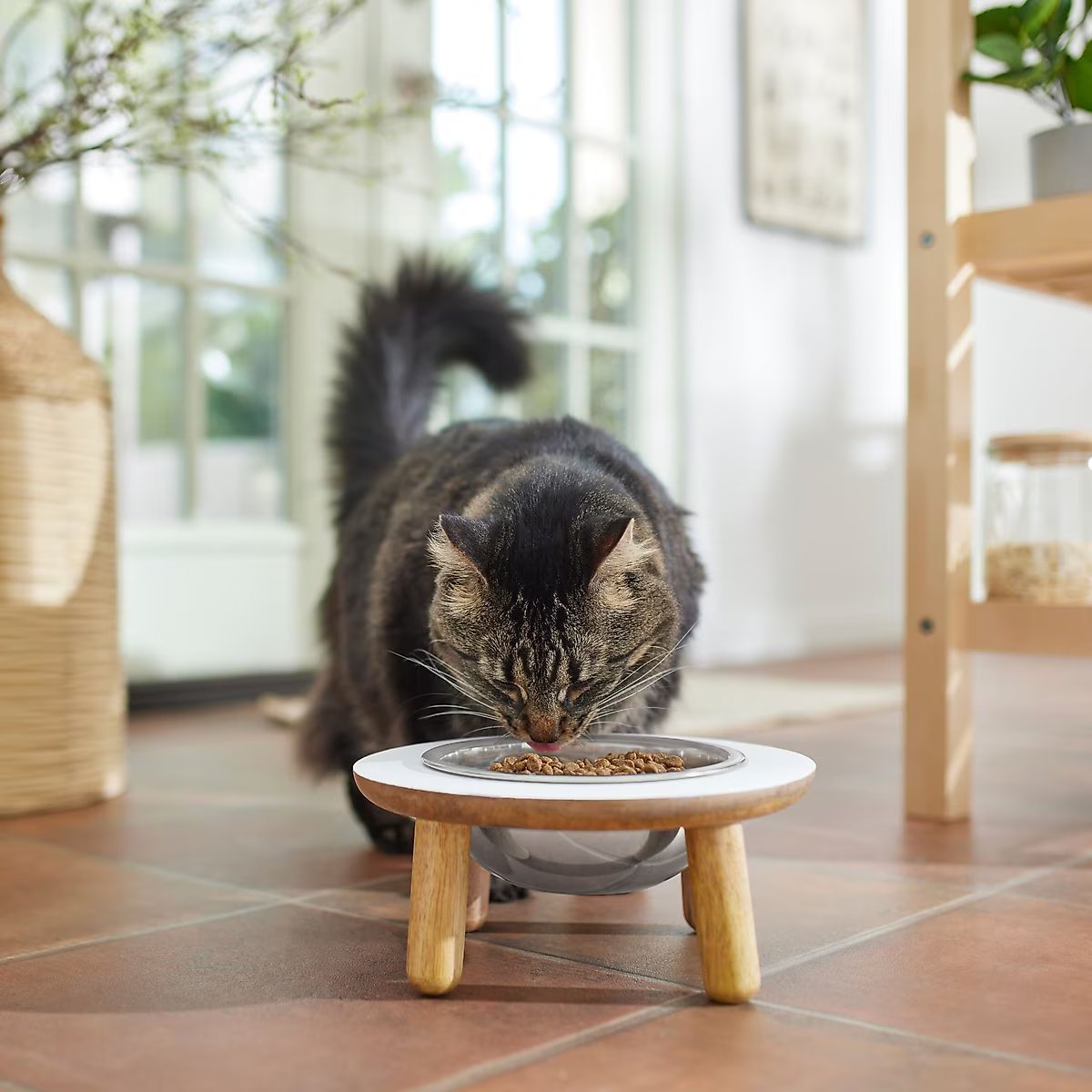 Frisco Premium Elevated Pet Bowl – White | 4-Cup Cap. | Raised Dog & Cat Feeder