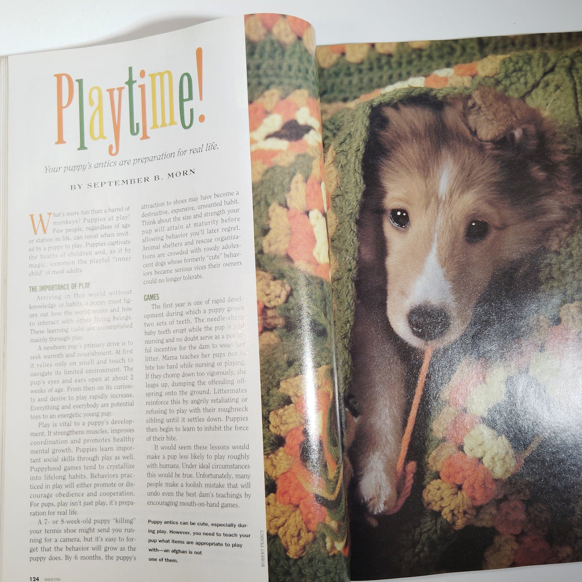 Dogs USA 1997 Annual Puppy Buyer's Guide & Owner's Manual Magazine Rottweiler