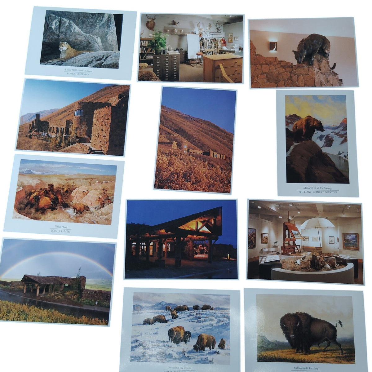 National Museum of Wildlife Art Postcard Set - Wildlife Paintings & Sculptures