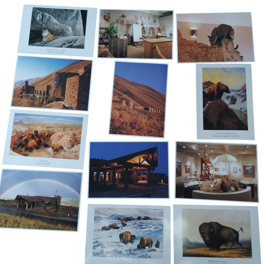National Museum of Wildlife Art Postcard Set - Wildlife Paintings & Sculptures