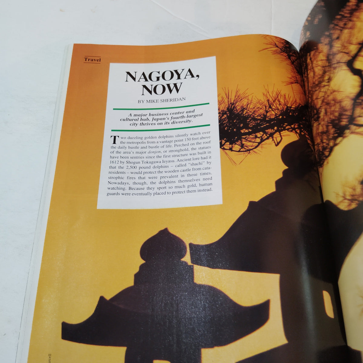 Delta SKY Magazine - February 1991 - Totem Poles, German Steins, Nagoya