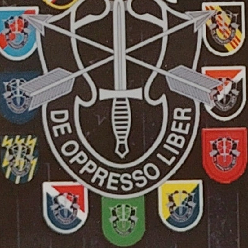 US Army Special Forces Magnet 2" x 3" De Oppresso Liber Motto Unit Patch Collage