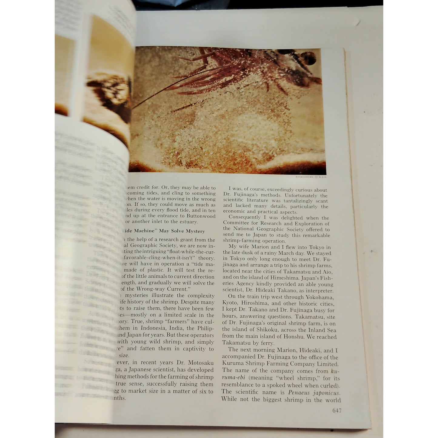 National Geographic Magazine May 1965 | Nile Valley, Alaska & Ancient Shipwrecks