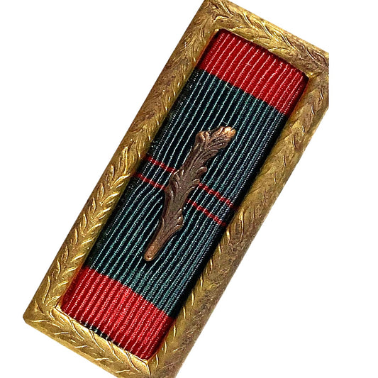 Republic of Vietnam Civil Action Palm Unit Citation Ribbon - AF/N/MC/CG LG Frame