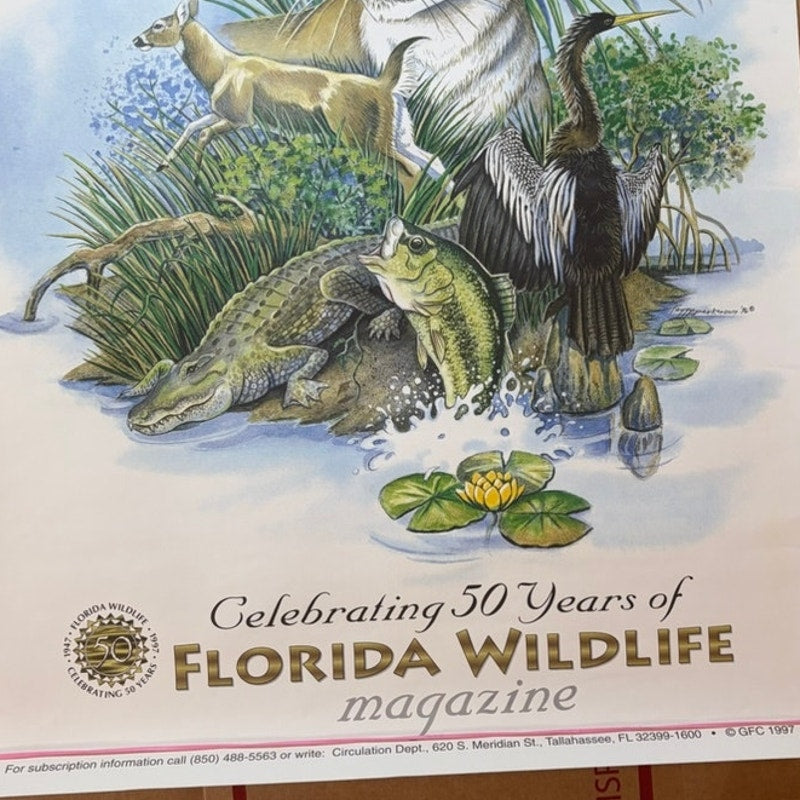 Florida Wildlife Magazine 50th Anniversary Print 1997 - Vintage Florida Art