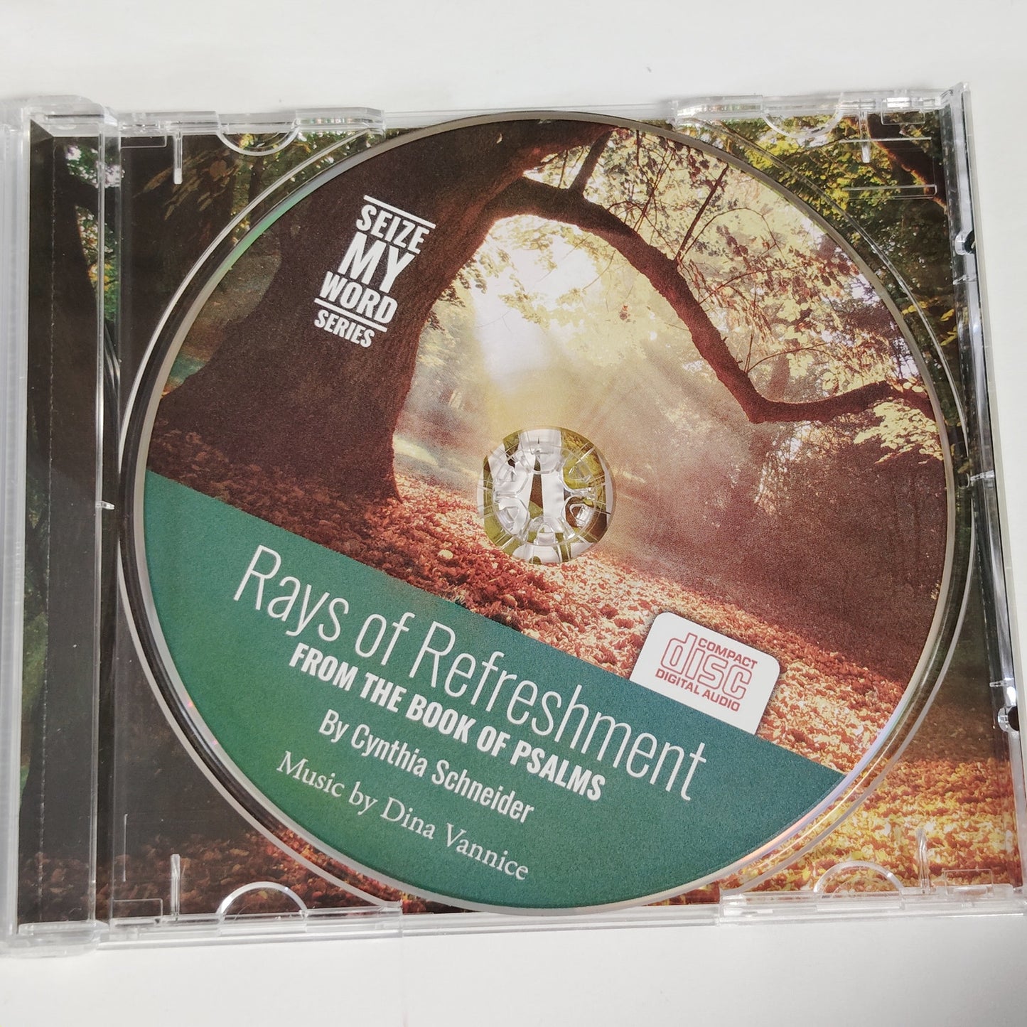Cynthia Schneider “Rays of Refreshment” Pt. 4 Seize My Word CD Psalms Meditation