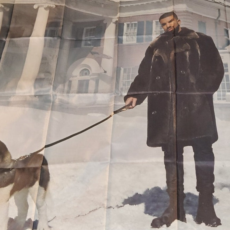 Drake Views Winter Scene Tapestry Wall Hanging 3x5 ft w/ Metal Grommets